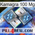 Kamagra 100 Mg viagra5